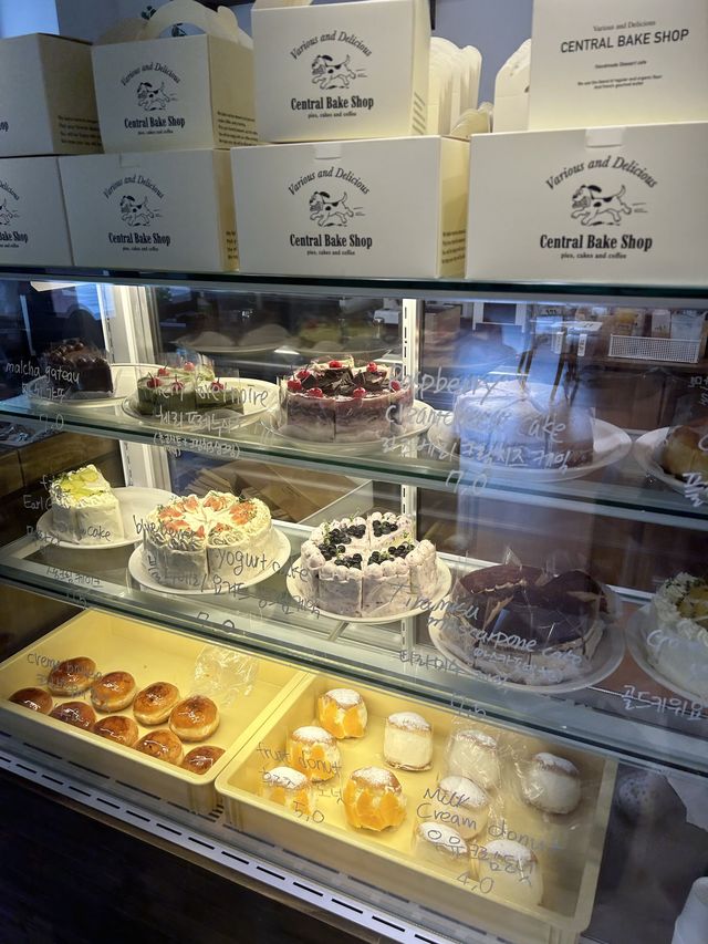 [진주] 과일 케이크 맛집 🍰 “센트럴베이크샵“
