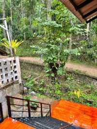 สำราญชน แม่กำปอง เชียงใหม่เจ้า🌳🍃