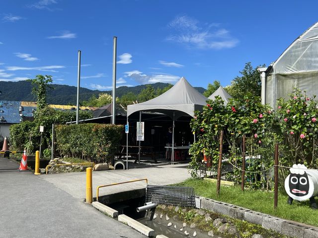 張美阿嬤農場，充滿童趣的景點，還可以看到水豚君在泡澡