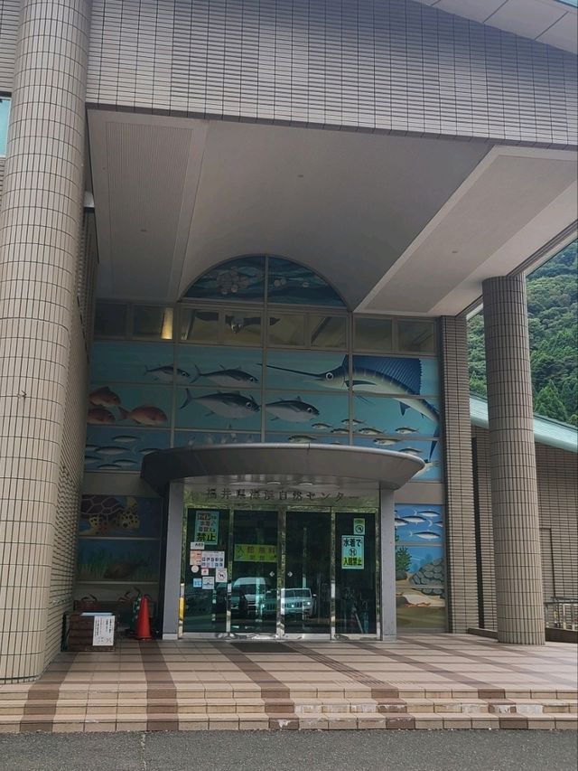 【福井】入館無料で楽しめる水族館