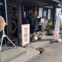 高松空港すぐそば！　芸能人も多数訪れるうどん屋さん。