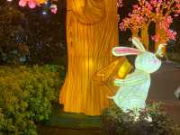 Bunnies In The Garden