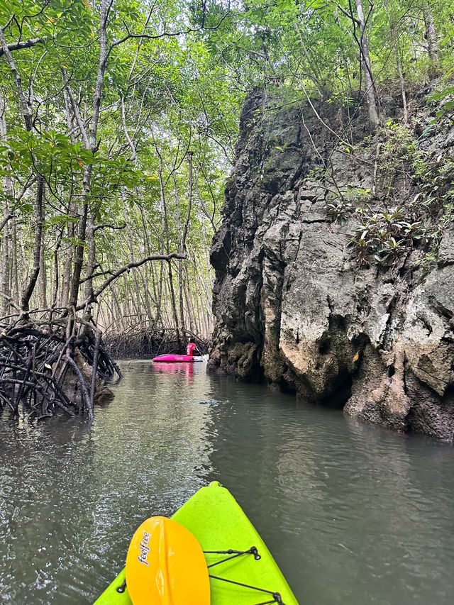 เที่ยวอ่าวท่าเล่น พายเรือชมป่าโกงกาง 🌿