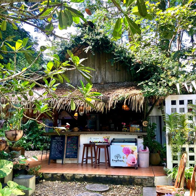A Cafe in the Jungle