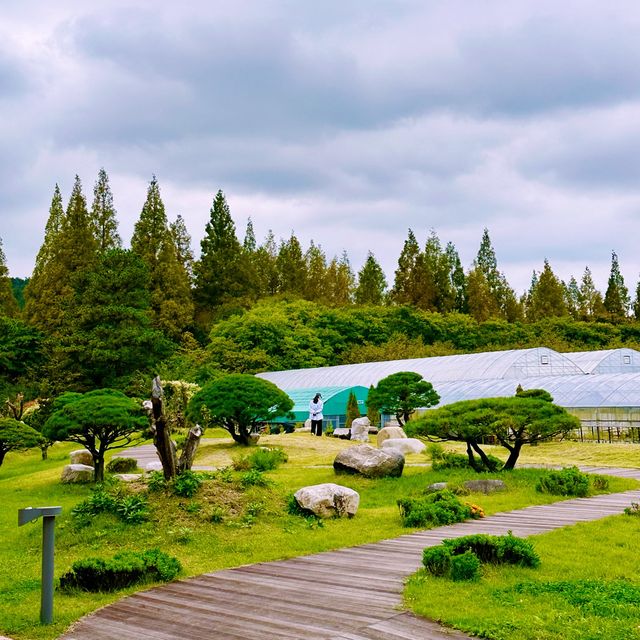 🌷 꽃과 자연의 심포니, 클래식이 나오는 경북천년숲정원에서 힐링여행해보세요!💕