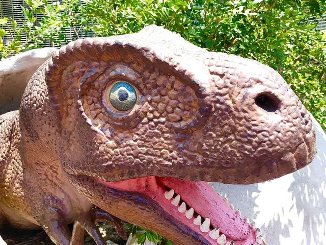 Changi Jurassic Mile