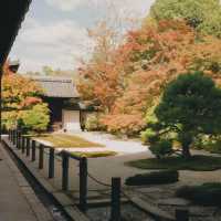 天授庵庭園～靜謐與自然🍵🌸🏯