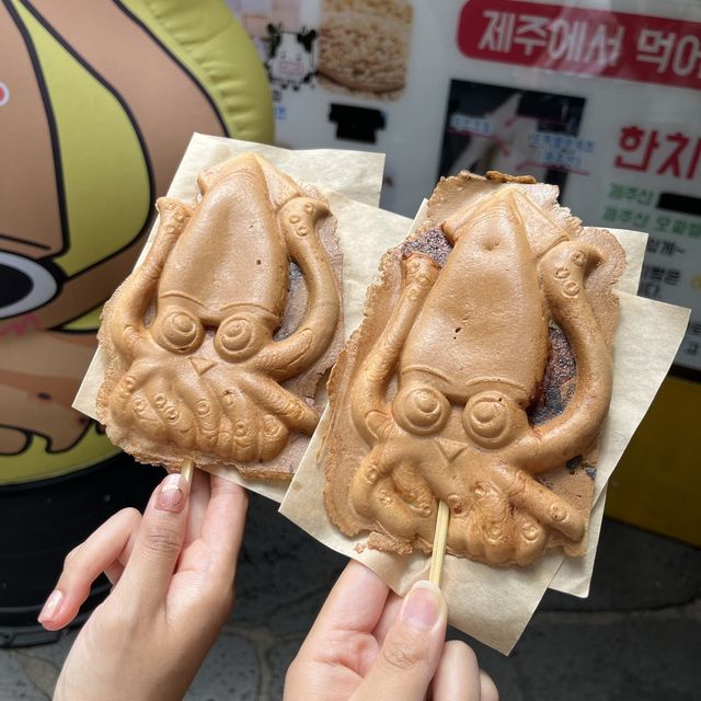 제주 뚜벅이만 4번한 파워 J가알려주는 제주도 3박 4일 일정️✈️