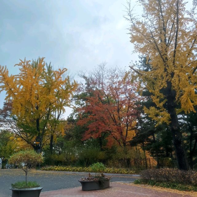 韓國必去免費親子遊 - 兒童大公園