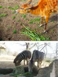 阪急電車の駅からすぐ！王子動物園