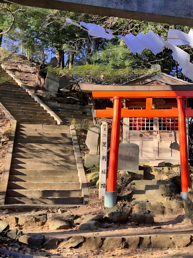 【足利】気軽にハイキングができる両崖山