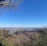 【高尾山】東京で自然を感じたいならココ！