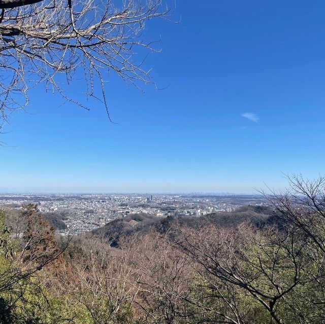 【高尾山】東京で自然を感じたいならココ！