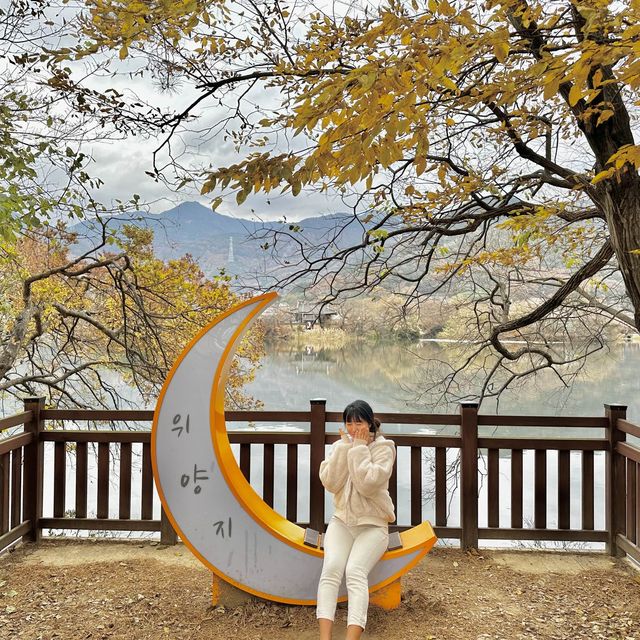 밀양 위양지 포토존 가득🧡
