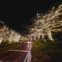 Magical Illuminations at Roppongi