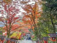 교토의 조용한 사찰에서의 단풍구경🍂