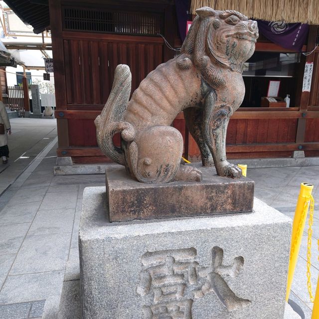 福岡観光2023 「若八幡宮」