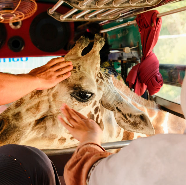 Safari Park บ่อพลอย (Tour ปกติ)