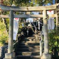 多摩川が一望できる絶景 - 多摩川浅間神社 -