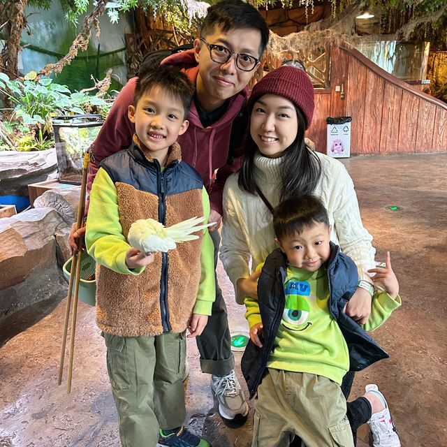 【 集玩樂動物園卡丁車的室內綜合樂園 】