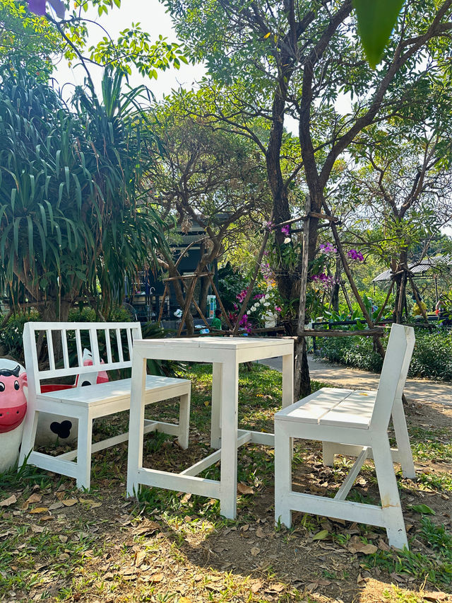 บ้านกล้วย&ไข่  คาเฟ่