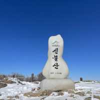 영남알프스 8봉 신불산 영축산 최단코스, 눈 산행