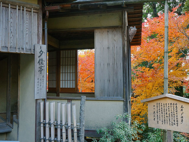 京都景點｜世界遺產金閣寺