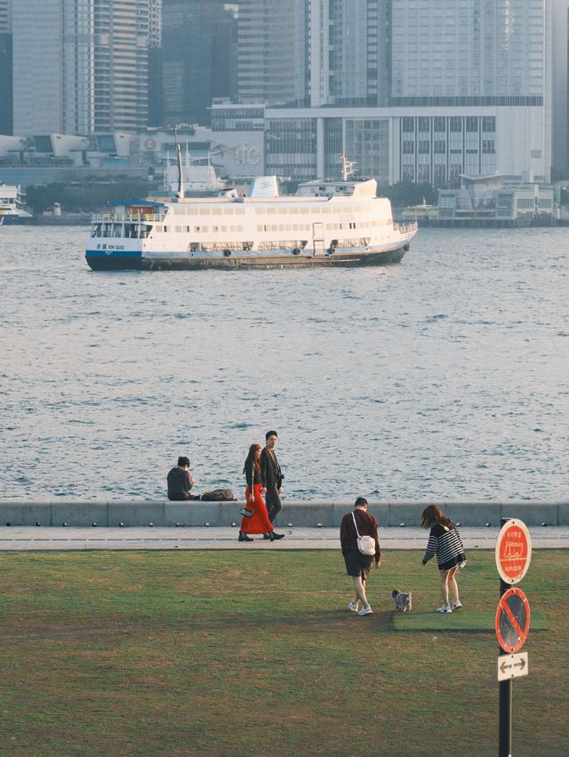 🇭🇰在香港 請留一天給M+博物館✨