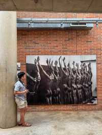 The Fight for Freedom @ Apartheid Museum