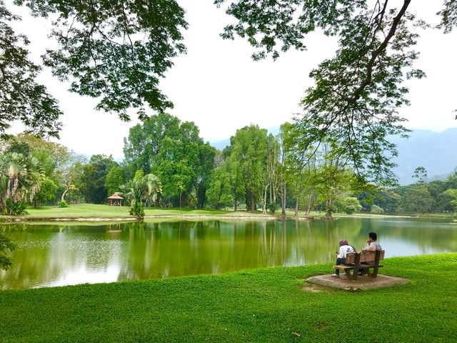 Seeking leisure and relaxation on weekends.
