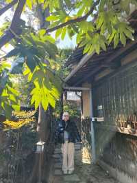 빠질수 없는 군산여행코스 일본식가옥🧡