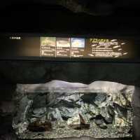 【茨城県】アクアワールド　大洗水族館