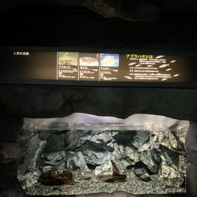 【茨城県】アクアワールド　大洗水族館