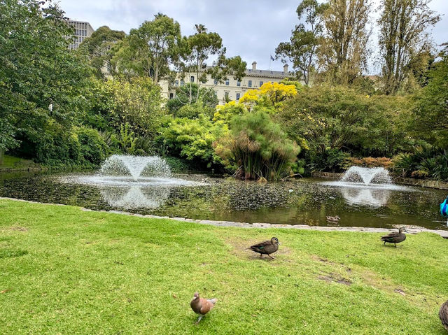 Treasury Gardens