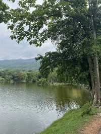 자연을 듬뿍 느낄 수 있는🌿🌳 ‘치앙마이대학교’