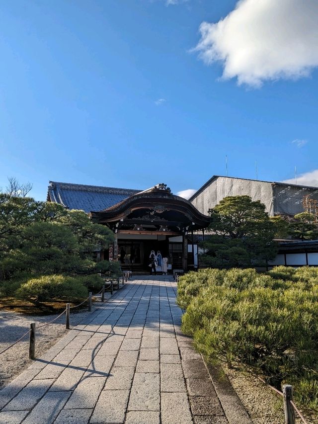 仁和寺の庭や池を眺めるていると、神社とは、また違う…寺院独特の荘厳な美しさを感じる