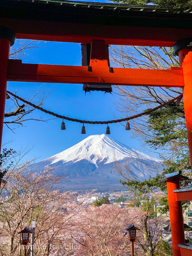 超人気桜スポット、新倉山浅間公園でスムーズにお花見をするポイント 超人気桜スポット、新倉山浅間公園でスムーズにお花見をするポイント