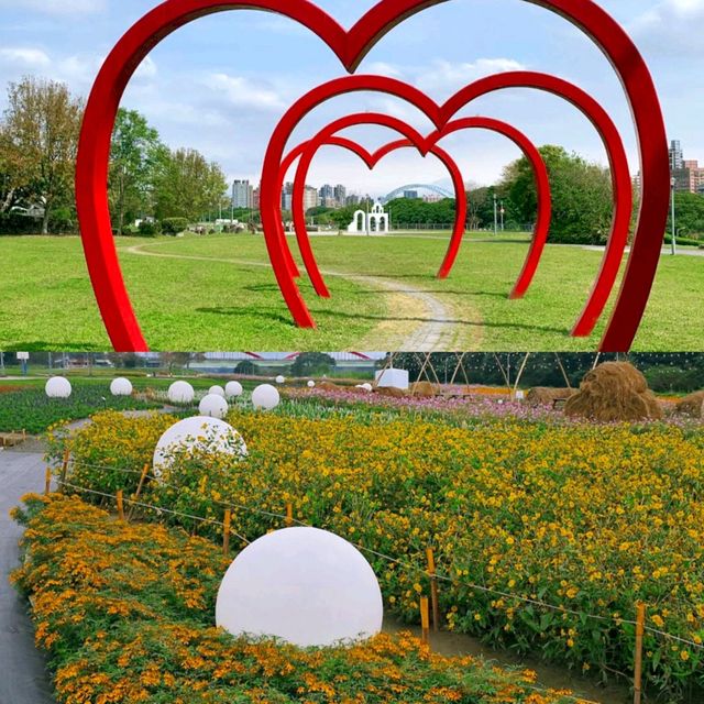 【臺北景點】古亭河濱公園花海，最佳休閒好去處