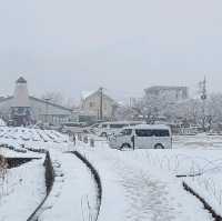 Snow Storm at Lake Kawaguchi