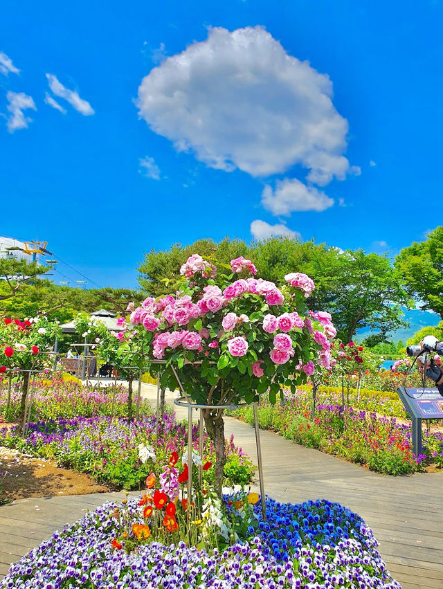 Theme Garden Grand Seoul Park 