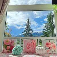 Prim's Cottage 