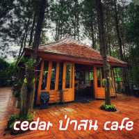 cedar ป่าสน cafe