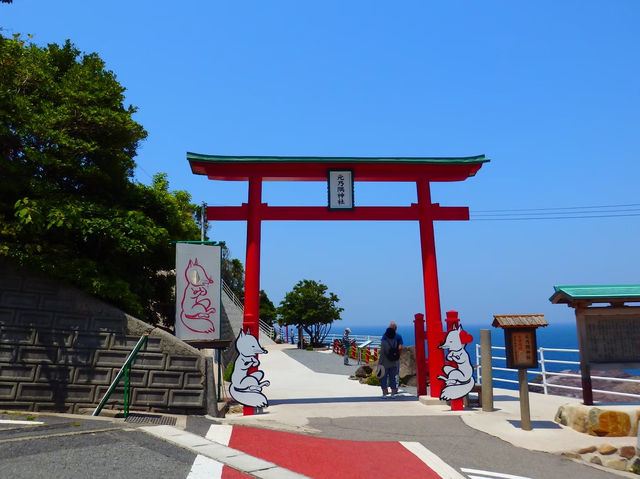 【鳥居と海が見える絶景スポット★】元乃隅神社