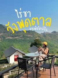 ☕️ ‘ไร่ชาวังพุดตาล’ คาเฟ่สไตล์จีน สวรรค์ของคนชอบชา