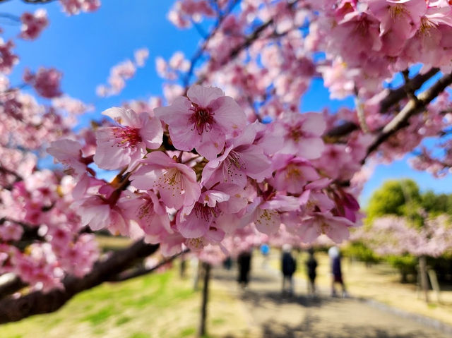 Umami-kyuryo Park 