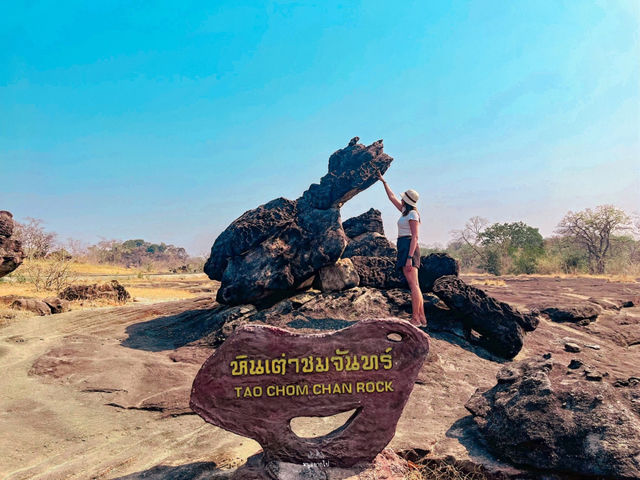 ไปดูอาทิตย์ขึ้นก่อนใครที่ ผาชะนะได