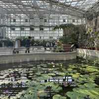 【バラが楽しめる★】神代植物公園