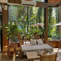 MiVana Organic Forest Coffee