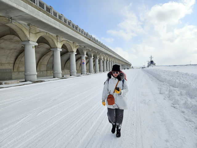 Wakkanai North Breakwater Dome หยุดชมวิวที่นี่กัน