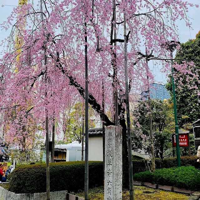 淺草寺